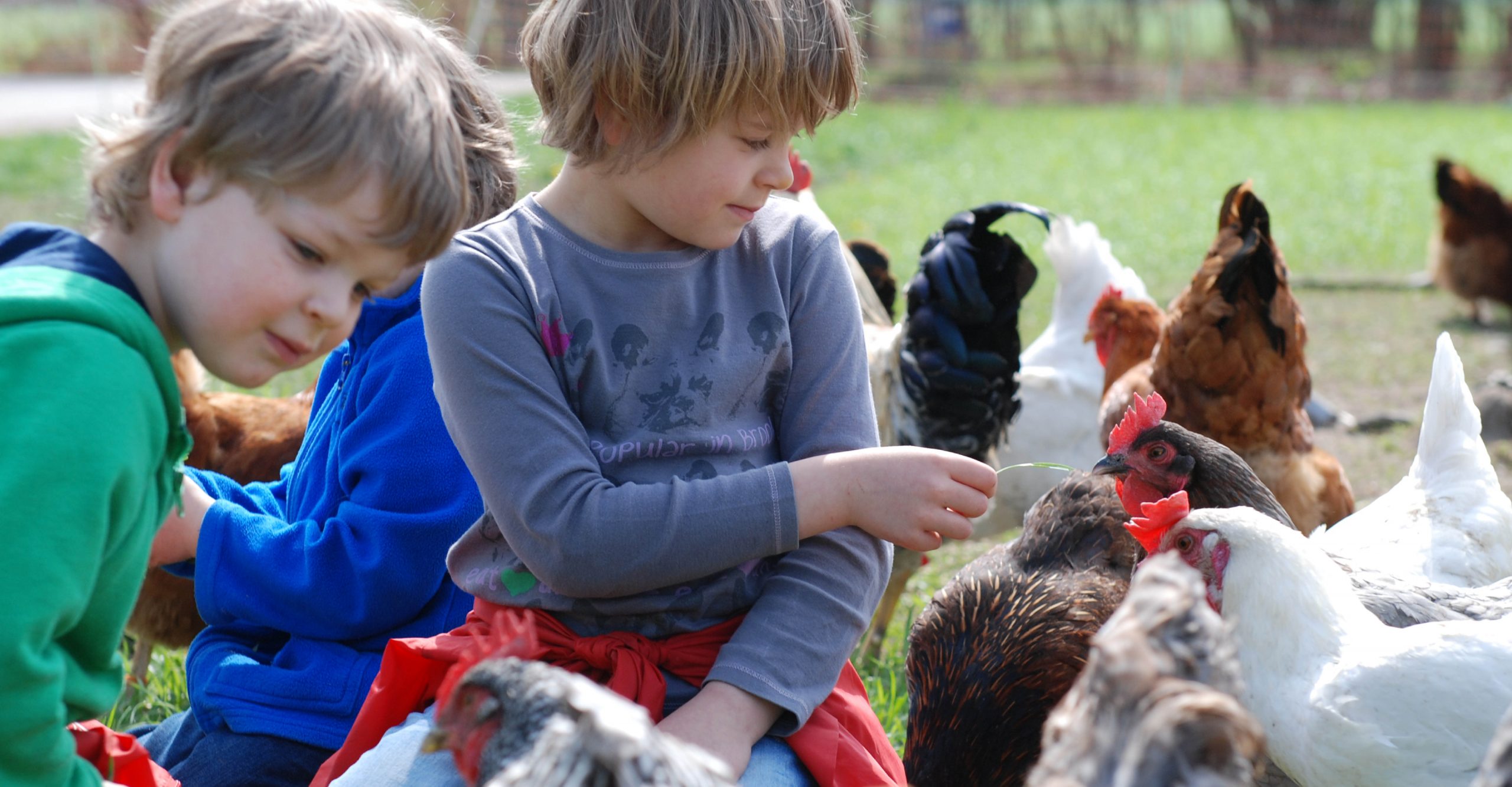 VierfelderHof_Berlin_JockelStiftung_Hungen_KinderbeimHuehnerfuettern