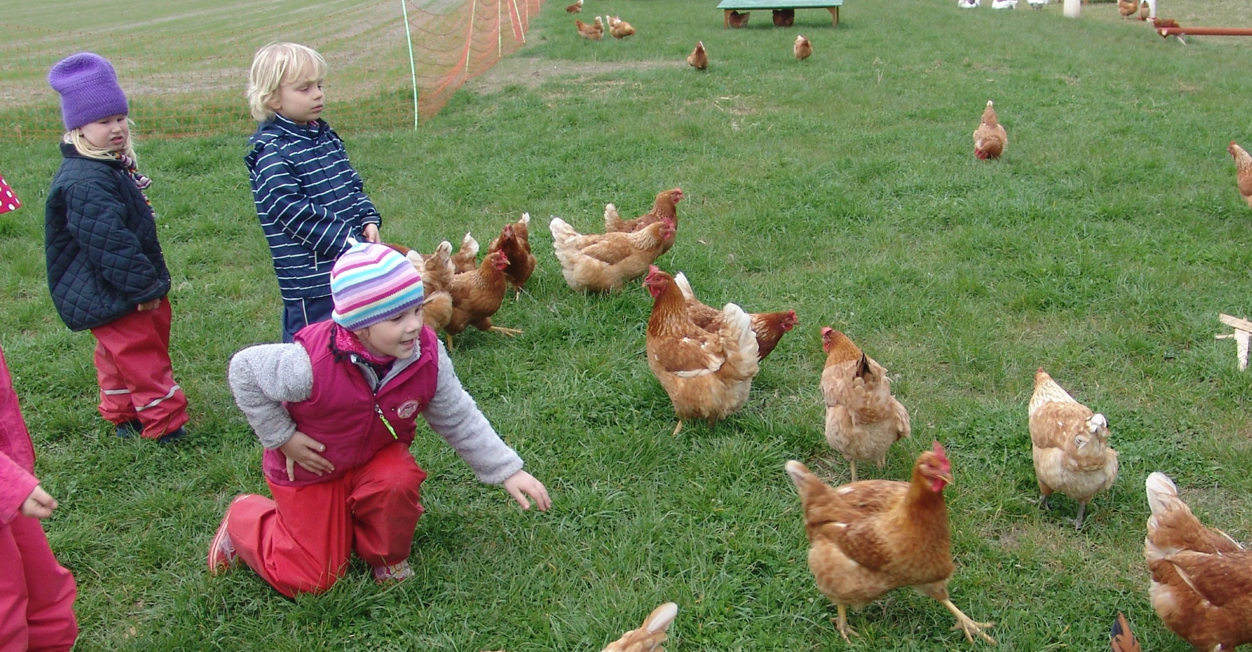 VierfelderHof_Berlin_JockelStiftung_Hungen_Kinder_mit_Huehnern