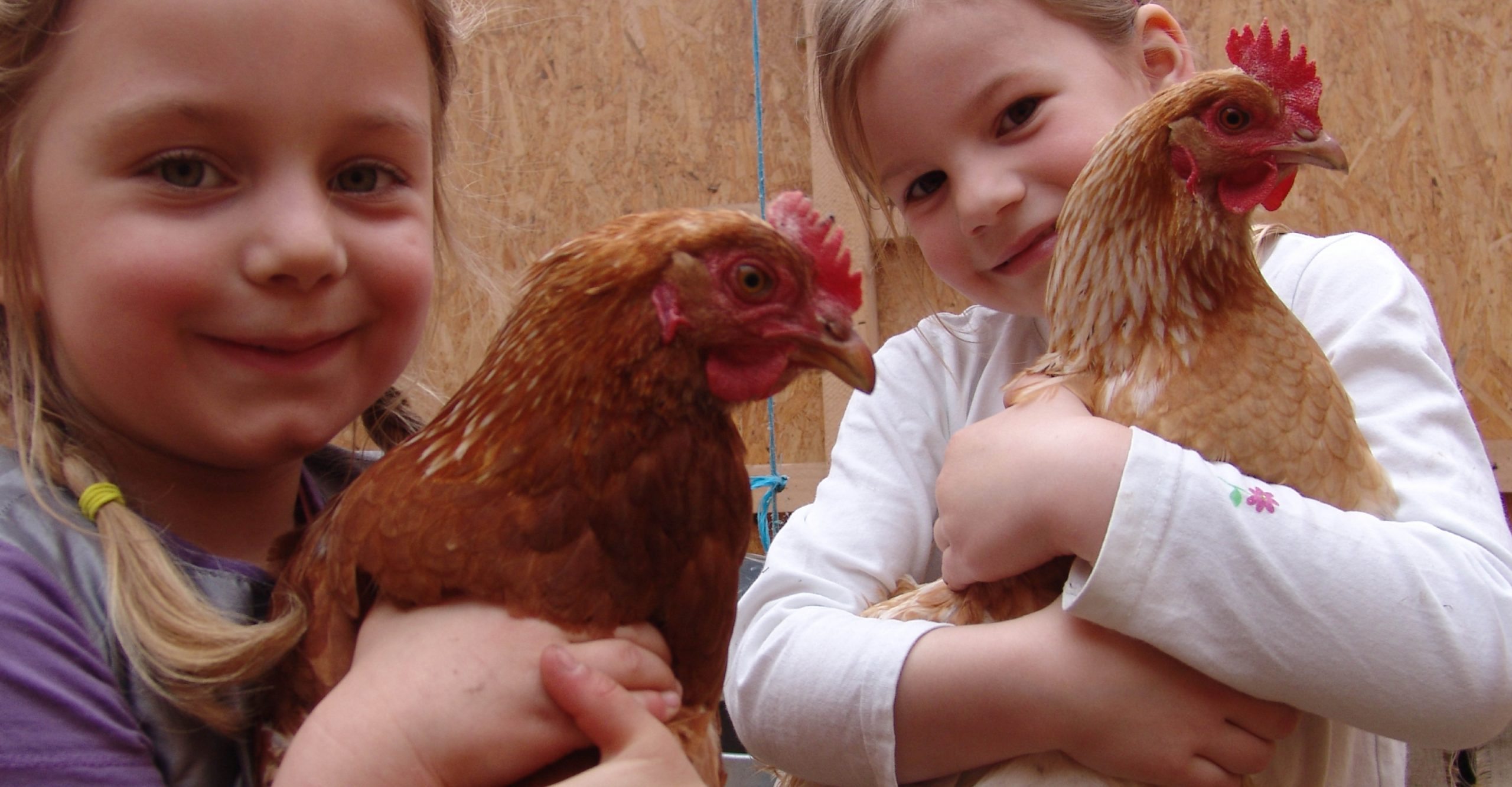 VierfelderHof_Berlin_JockelStiftung_Hungen_Kinder